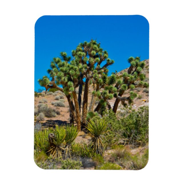 Gold Butte National Monument Magnet (Vertical)