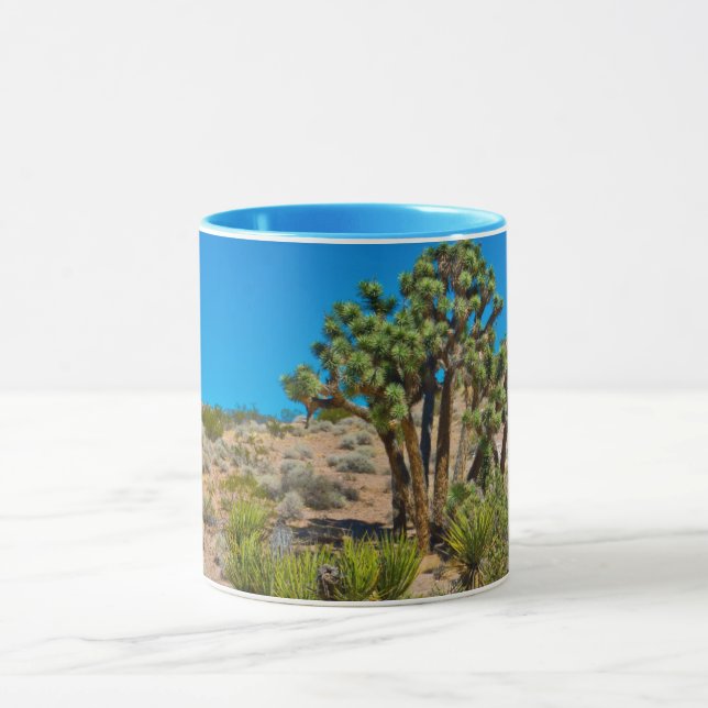Gold Butte National Monument Mug (Center)