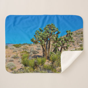 Gold Butte National Monument Sherpa Blanket