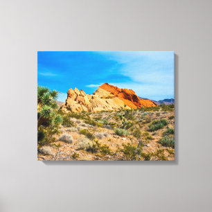 Gold Butte National Monument, Whitney Pocket Canvas Print