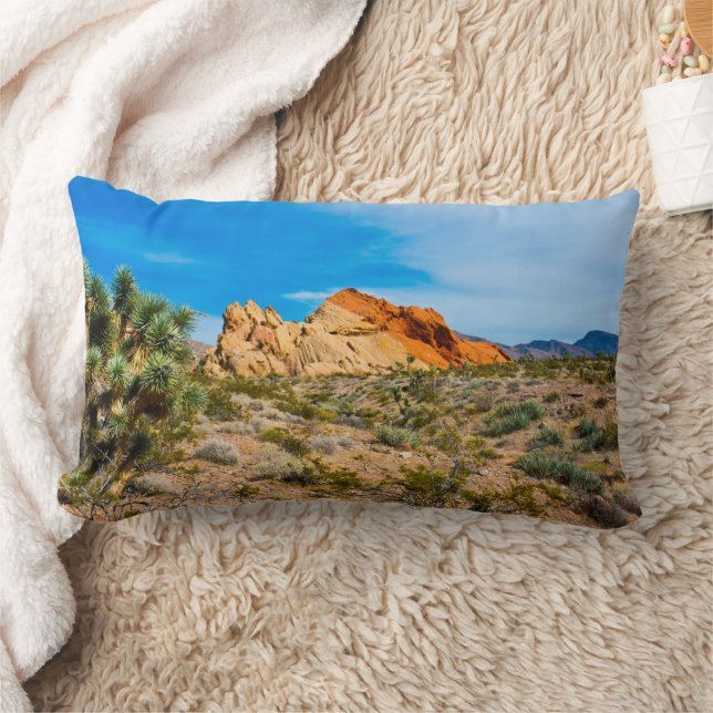 Gold Butte National Monument, Whitney Pocket Lumbar Cushion (Blanket)