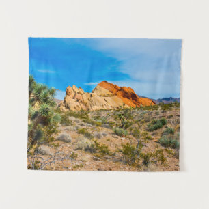 Gold Butte National Monument, Whitney Pocket Tapestry