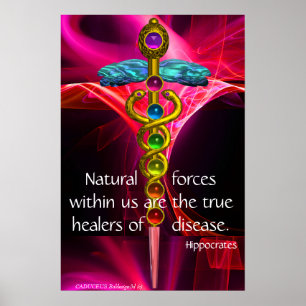 GOLD CADUCEUS,7 CHAKRAS,PINK FRACTAL WAVES Medical Poster