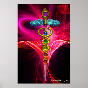 GOLD CADUCEUS,7 CHAKRAS PINK FUCHSIA Yoga Medical Poster