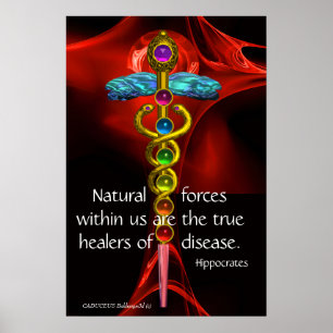 GOLD CADUCEUS, 7 CHAKRAS, RED ROSE Medical,Yoga Poster