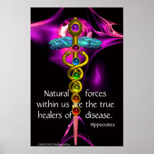 GOLD CADUCEUS,7 CHAKRAS, ULTRA VIOLET Medical,Yoga Poster