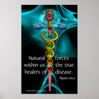 GOLD CADUCEUS AND 7 CHAKRAS IN BLUE FRACTAL ROSE