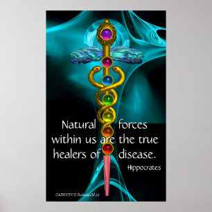 GOLD CADUCEUS AND 7 CHAKRAS IN BLUE FRACTAL ROSE POSTER