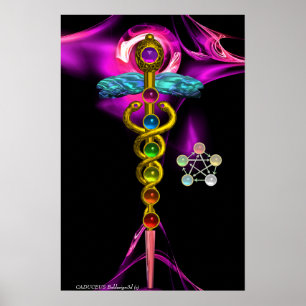GOLD CADUCEUS AND 7 CHAKRAS IN PINK FRACTAL ROSE POSTER
