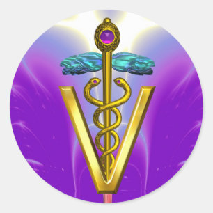 GOLD CADUCEUS VETERINARY SYMBOL Pink Purple Classic Round Sticker
