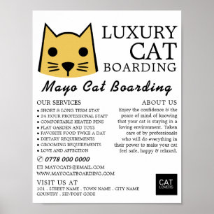 Gold Cat, Cat Boarding, Cattery Advertising Poster