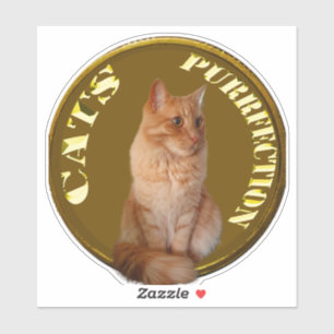Gold Cat Coins With Ginger Cat,