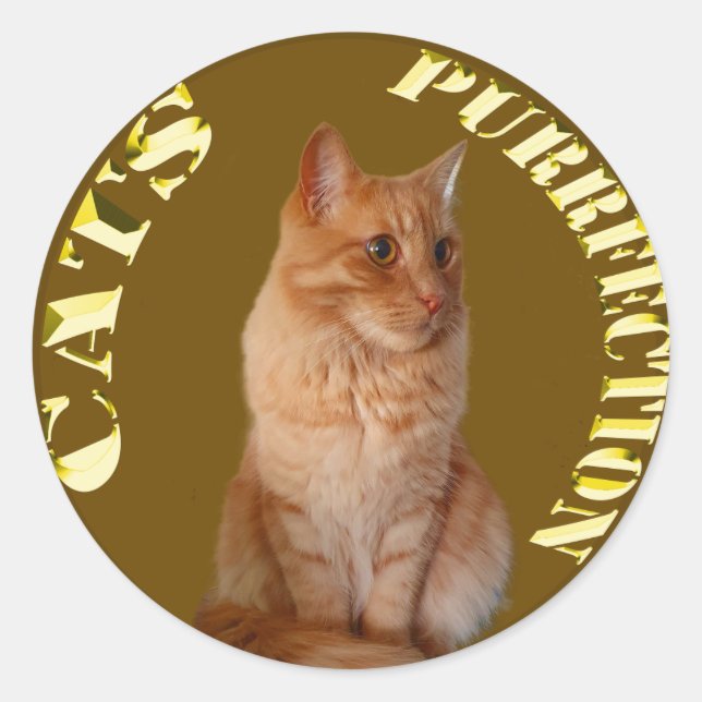 Gold Cat Coins With Ginger Cat, Round Sticker (Front)