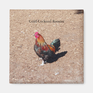 Gold Cockerel Rooster magnet