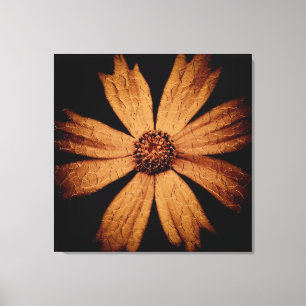 Gold Cosmos Flower on Black Canvas Print