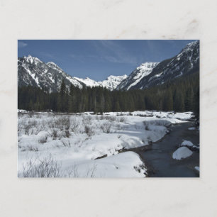 Gold Creek Postcard
