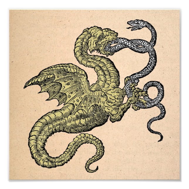Gold Dragon vs. Silver Snake Photo Print (Front)