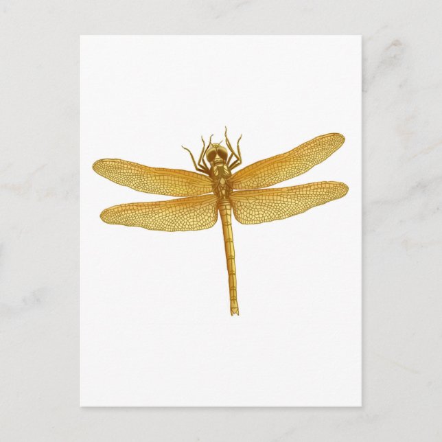Gold Dragonfly Postcard (Front)