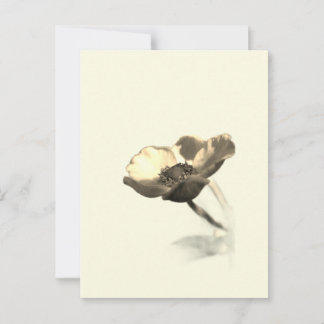 Gold Dream Flowers – Sepia Minimalist Nature Postcard