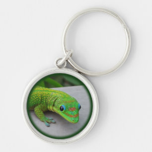 Gold Dust Day Gecko – Audition and Get Some Gecko Key Ring