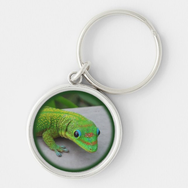 Gold Dust Day Gecko – Audition and Get Some Gecko Key Ring (Front)
