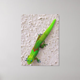 Gold Dust Day Gecko Canvas Print