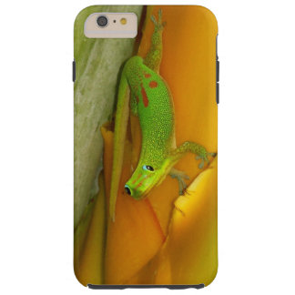 gecko iphone toolkit 5s