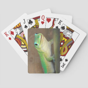 Gold Dust Day Gecko Photo Playing Cards