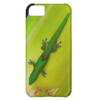 gecko iphone toolkit iphone se