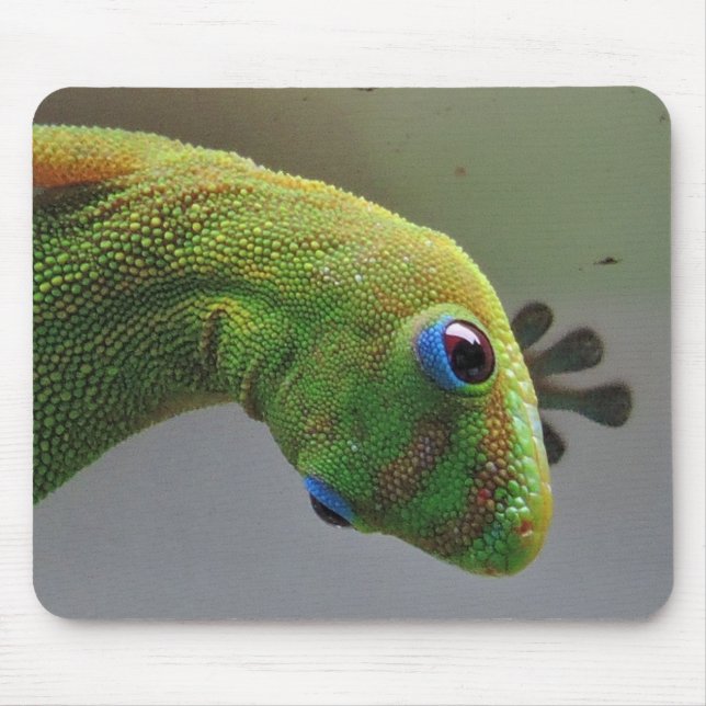 Gold dust Gecko Mouse Mat (Front)