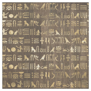 Gold Egyptian Hieroglyphs on Brown Fabric