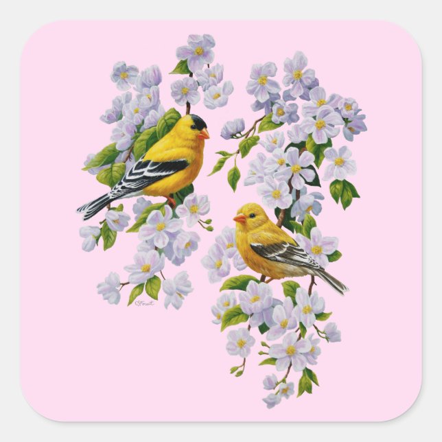 Gold Finch Birds & Apple Tree Pink Square Sticker (Front)