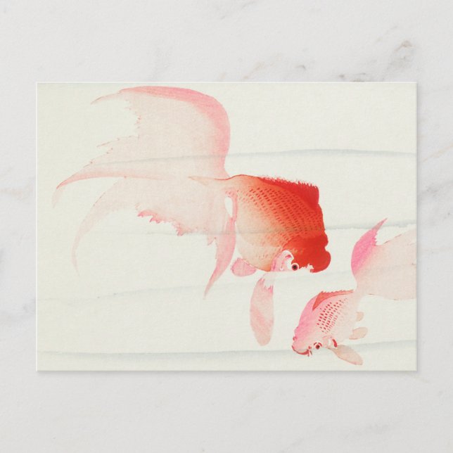 Gold Fish Painting by Ohara Koson Postcard (Front)