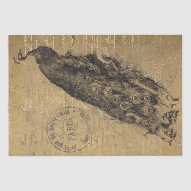 Gold Grunge Peacock Bird French Script Decoupage   Tissue Paper (Front)