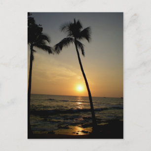 Gold Hawaiian Sunset Postcard