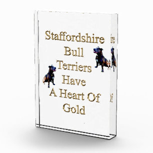 Gold Heart Staffordshire Bull Terrier, Photo Block