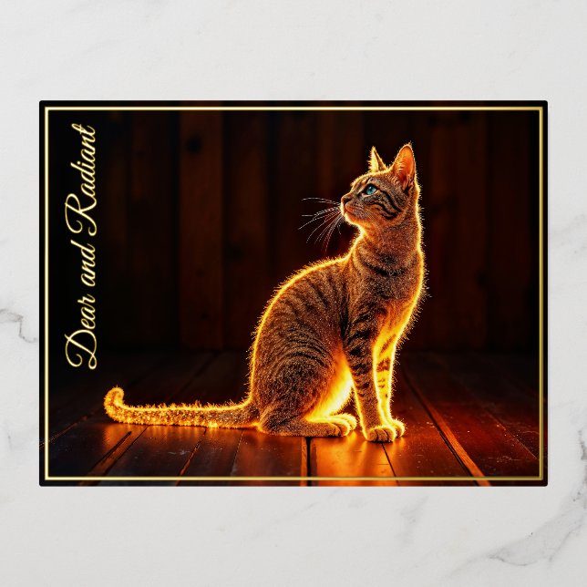 Gold illuminated cat light and shadow pets art foil holiday postcard (Front)
