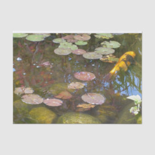 Gold Koi in Lily pond Tissue Paper