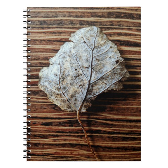 Gold Leaf Notebook (Front)