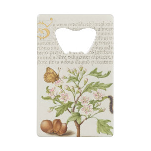 Gold Letter S  Insect, English Hawthorn