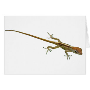 Gold Lizard Greeting Card