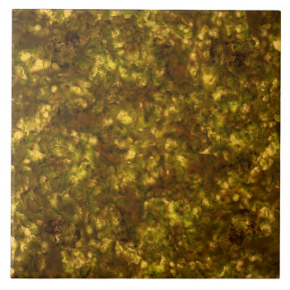 Gold Metallic Smokey Marble Tile