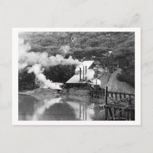 Gold Mine in Valdez, Alaska Photograph Postcard