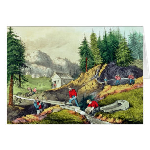 Gold Mining in California