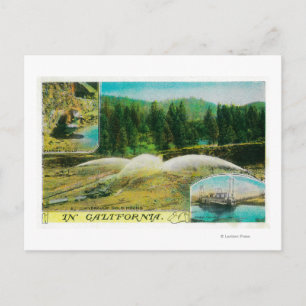 Gold Mining in California StateState Postcard