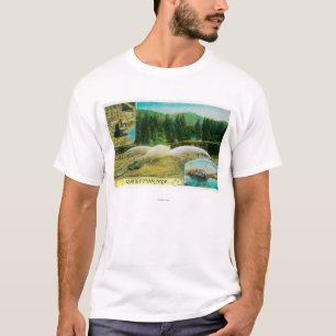 Gold Mining in California StateState T-Shirt