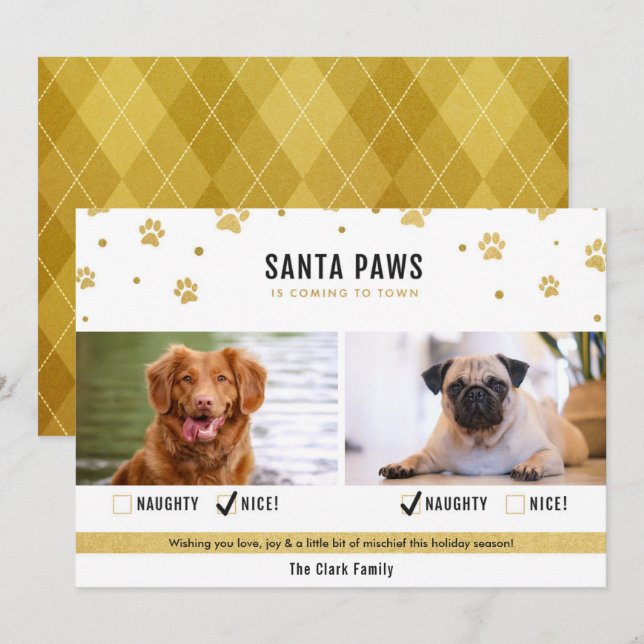 Gold Naughty or Nice Two Dog Christmas Photo Card (Front/Back)