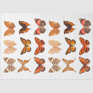 Gold Orange Butterfly Collection Decoupage Tissue Paper