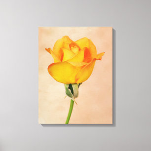 Gold Orange Single Rose Flower Art Canvas Print