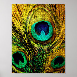Gold Peacock Feather Pattern Poster